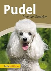 Pudel toy zwerg gebraucht kaufen  Wird an jeden Ort in Deutschland
