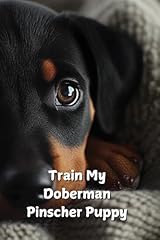 Train doberman pinscher for sale  Delivered anywhere in UK