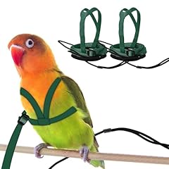 Cqj pcs pet for sale  Delivered anywhere in UK