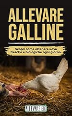 Allevare galline scopri usato  Spedito ovunque in Italia 
