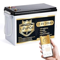 Pupvwmhb batteria litio usato  Spedito ovunque in Italia 