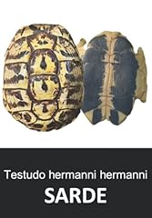 Testudo hermanni hermanni usato  Spedito ovunque in Italia 