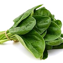 Vegetable plants spinach for sale  Delivered anywhere in Ireland