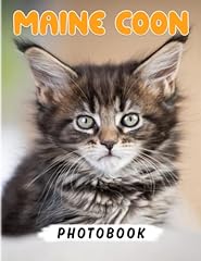 Maine coon kittens for sale  Delivered anywhere in USA 