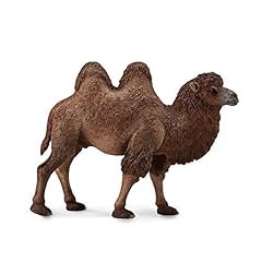 Nici camello multicolore usato  Spedito ovunque in Italia 