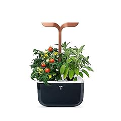 Véritable potager intérieur d'occasion  Livré partout en France