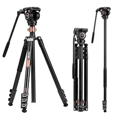 Cayer fp2450 treppiede usato  Spedito ovunque in Italia 