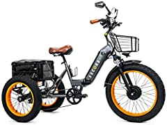 3SCORE Electric Fat Trike 750W Motor and 48V Lithium for sale  Delivered anywhere in USA 
