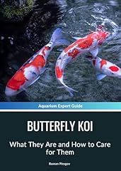 Butterfly koi care for sale  Delivered anywhere in USA 