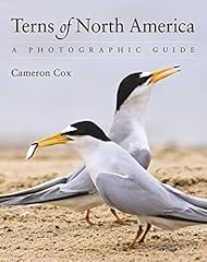 Terns north america for sale  Delivered anywhere in UK