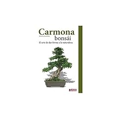 Guida carmona bonsai usato  Spedito ovunque in Italia 