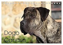 Dogo canario calvendo gebraucht kaufen  Wird an jeden Ort in Deutschland