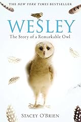 Wesley story remarkable for sale  Delivered anywhere in UK