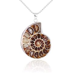 Bobeini naturale ammonite usato  Spedito ovunque in Italia 