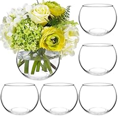 Piniwon pack clear for sale  Delivered anywhere in USA 