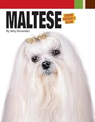 Maltese for sale  Delivered anywhere in USA 
