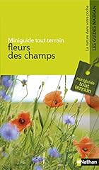 Fleurs champs d'occasion  Livré partout en France