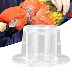 Animal compagnie perroquet d'occasion  Livré partout en France