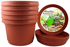 Terra cotta color for sale  Delivered anywhere in USA 