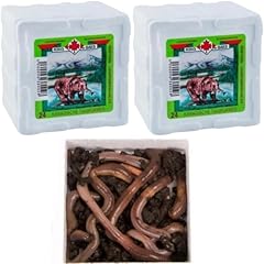 Premium kanadische tauwürmer gebraucht kaufen  Wird an jeden Ort in Deutschland