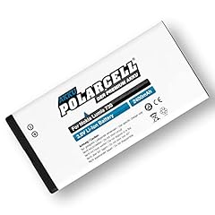 Polarcell batteria per usato  Spedito ovunque in Italia 