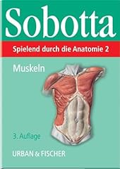 Spielend durch anatomie gebraucht kaufen  Wird an jeden Ort in Deutschland
