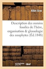 Oursins fossiles département d'occasion  Livré partout en France