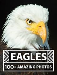 Eagle pictures photography for sale  Delivered anywhere in USA 