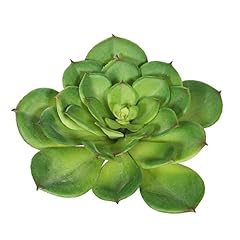 Vickerman everyday indoor for sale  Delivered anywhere in USA 