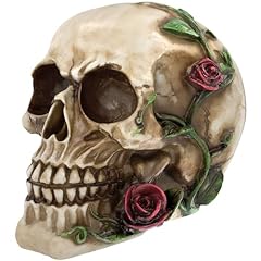 Readaeer human skull for sale  Delivered anywhere in USA 