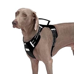 Pettorina per cani usato  Spedito ovunque in Italia 