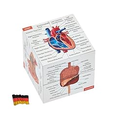 Menschliche anatomie studienw� gebraucht kaufen  Wird an jeden Ort in Deutschland