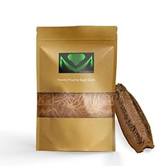 Usmantis carolina praying for sale  Delivered anywhere in USA 