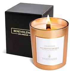 Benevolence eucalyptus orange for sale  Delivered anywhere in USA 