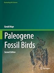 Paleogene fossil birds for sale  Delivered anywhere in USA 