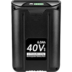 Dsanke 40v 6000mah for sale  Delivered anywhere in USA 