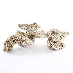 Aquarium dried reef for sale  Delivered anywhere in UK