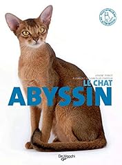 Chat abyssin d'occasion  Livré partout en France