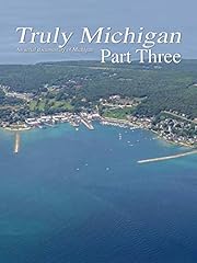 Truly michigan part for sale  Delivered anywhere in USA 
