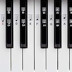 Belfort klavier keyboard gebraucht kaufen  Wird an jeden Ort in Deutschland