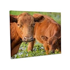 3drose red angus for sale  Delivered anywhere in USA 