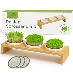 Große kressebank 42cm gebraucht kaufen  Wird an jeden Ort in Deutschland