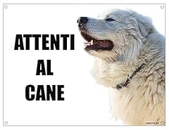 Maremmano attenti cane usato  Spedito ovunque in Italia 