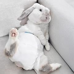 Rabbit diapers dwarf for sale  Delivered anywhere in USA 