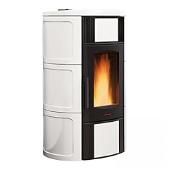 Extraflame termostufa iside usato  Spedito ovunque in Italia 