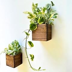 Lalagreen wood planter for sale  Delivered anywhere in USA 