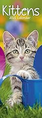 Kittens 2021 slim d'occasion  Livré partout en France