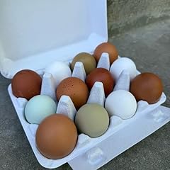 Fertilized chicken hatching for sale  Delivered anywhere in USA 