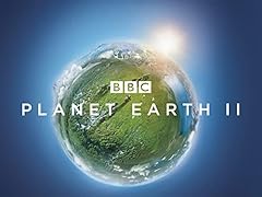 Planet earth for sale  Delivered anywhere in USA 