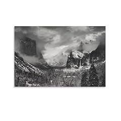 Ansel adams clearing for sale  Delivered anywhere in USA 